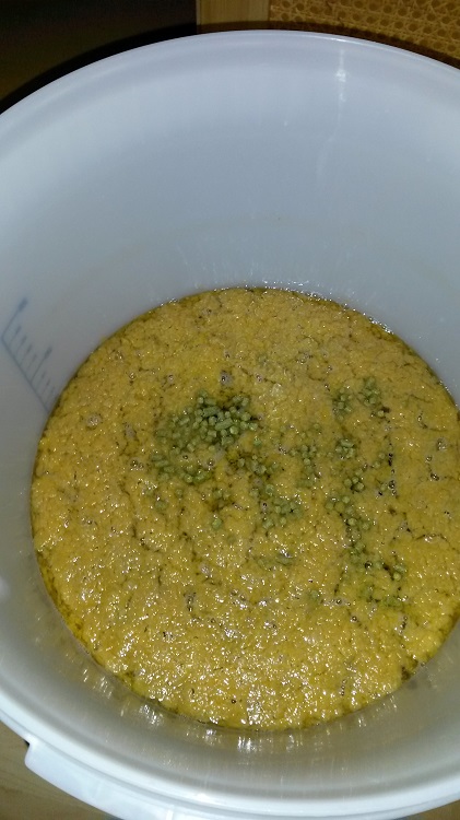 2015-07-27 20.06.30.jpg